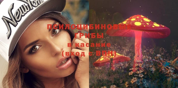2c-b Алексин