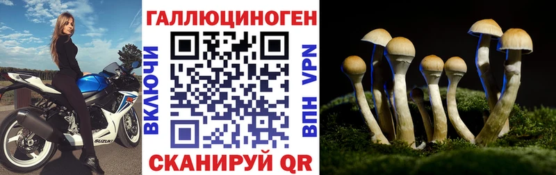 Псилоцибиновые грибы Psilocybine cubensis закладки Бронницы