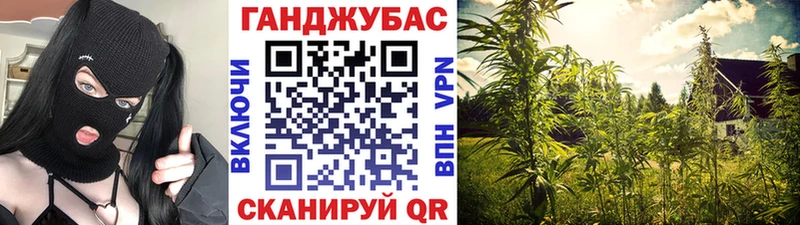 Бошки Шишки план  закладки  Бронницы 